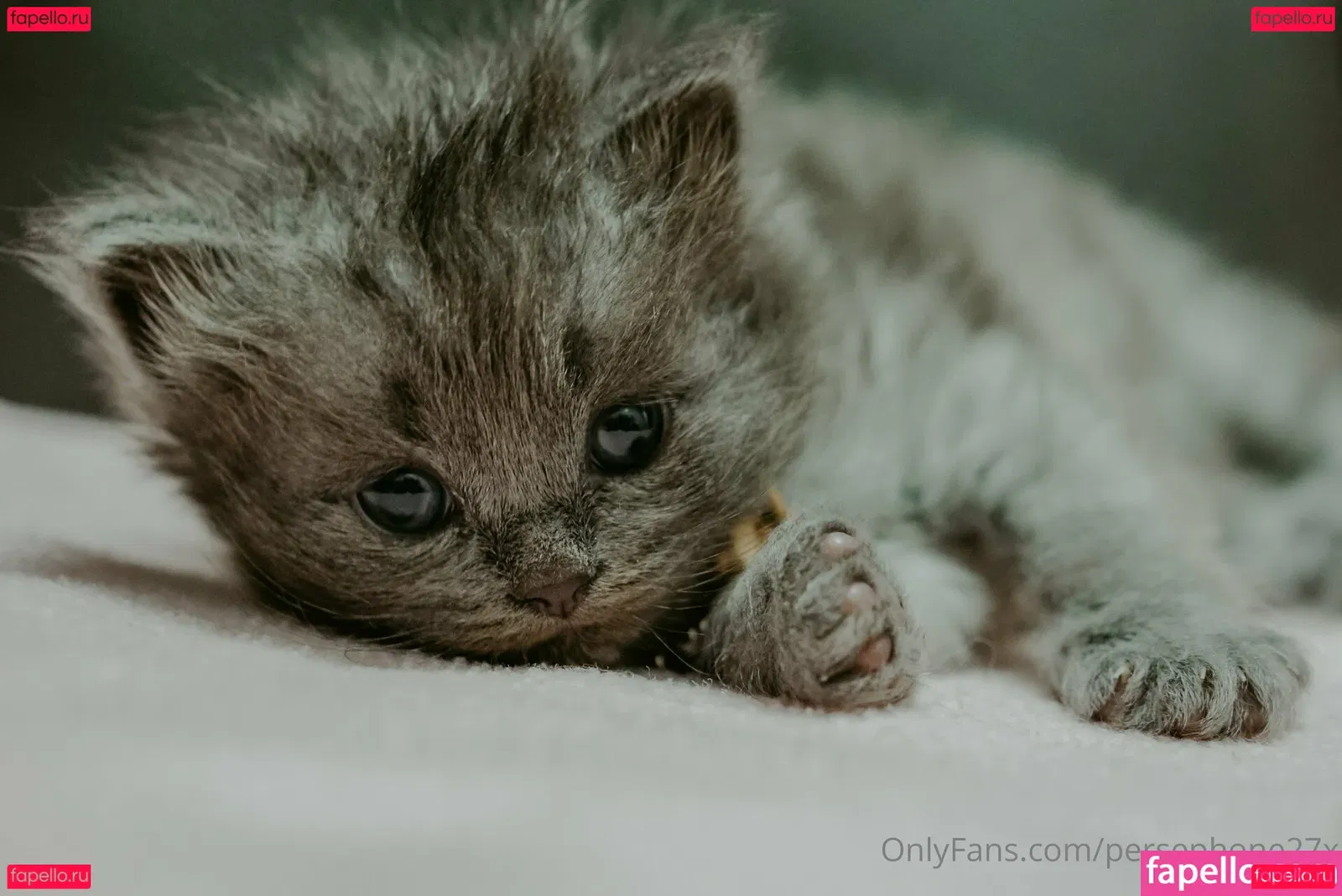 persephone27x Onlyfans Photo Gallery 