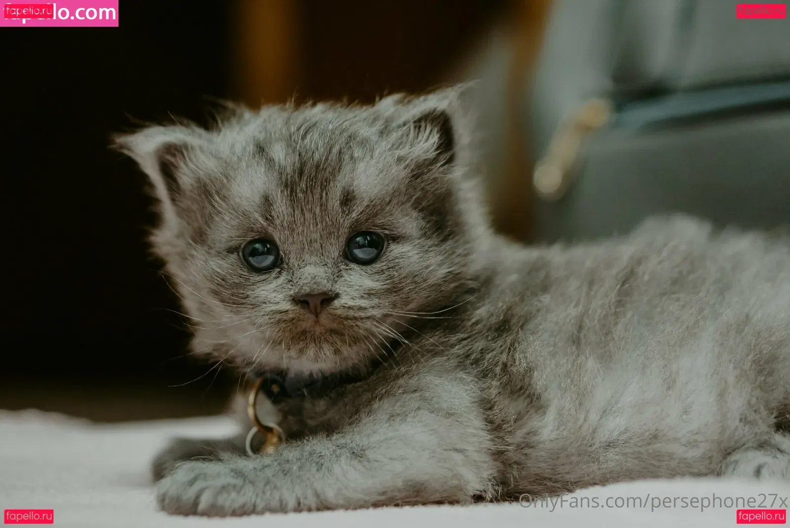 persephone27x Onlyfans Photo Gallery 