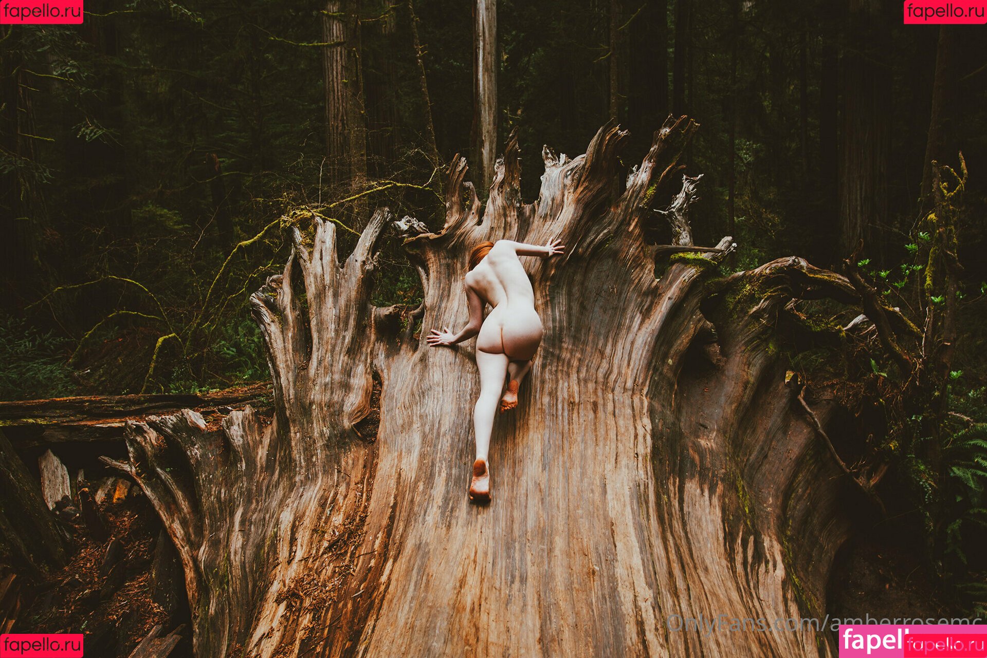 amberrosemc Onlyfans Photo Gallery 