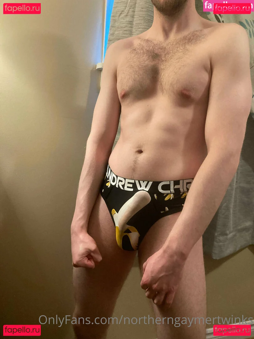 northerngaymertwinks Onlyfans Photo Gallery 