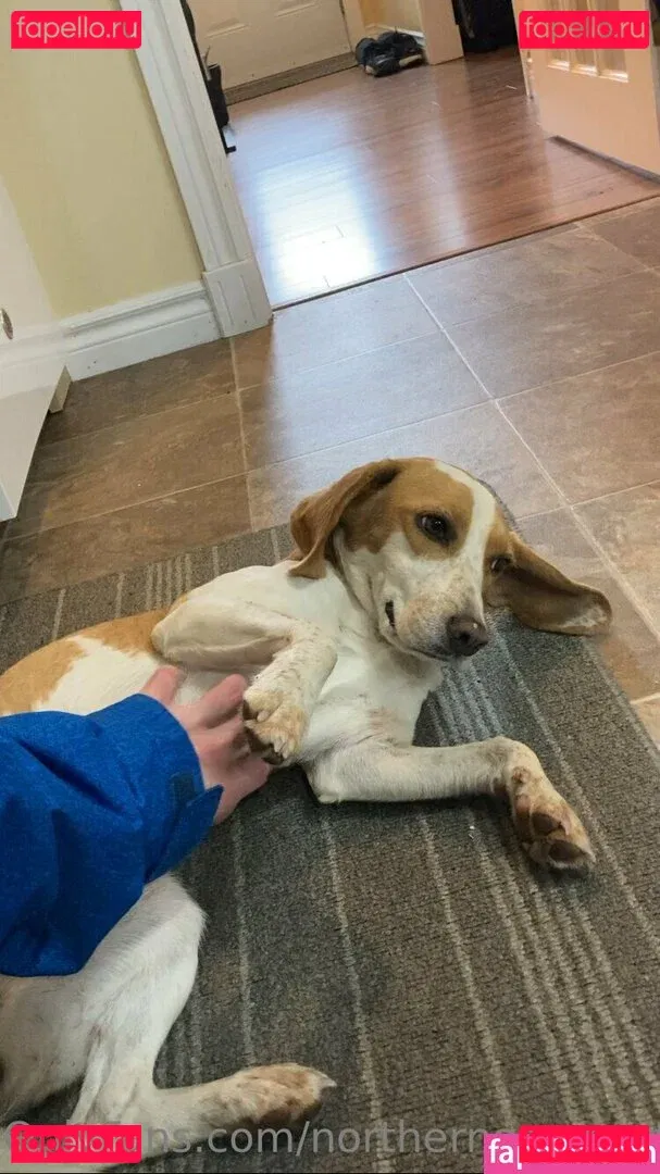 northerngaymertwinks Onlyfans Photo Gallery 