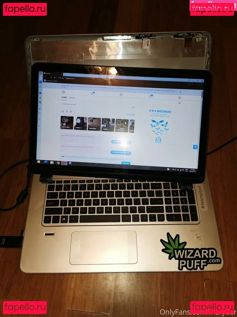 irisryder Onlyfans Photo Gallery 