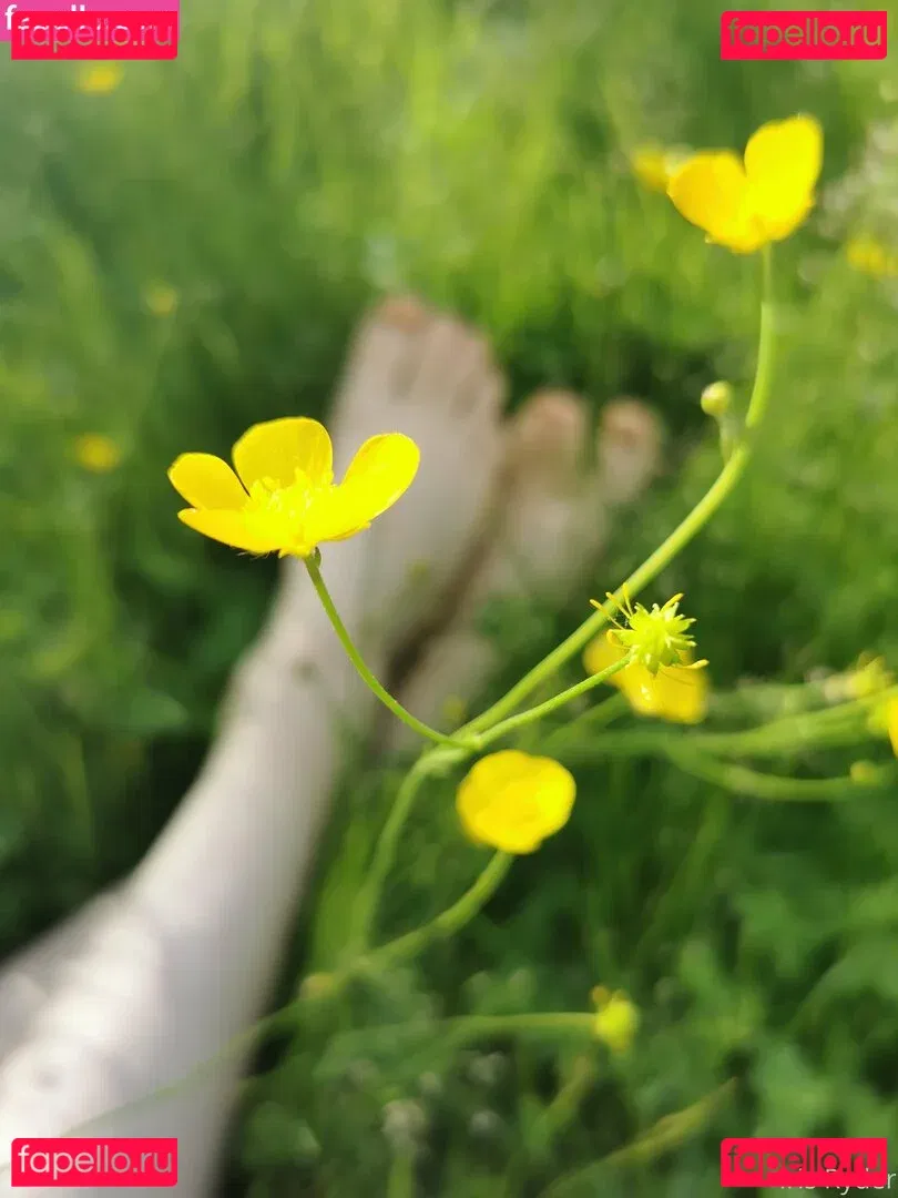 irisryder Onlyfans Photo Gallery 