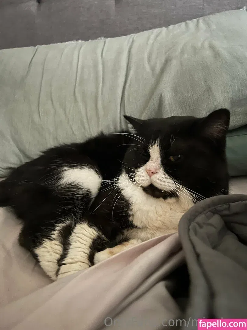 minaluna Onlyfans Photo Gallery 