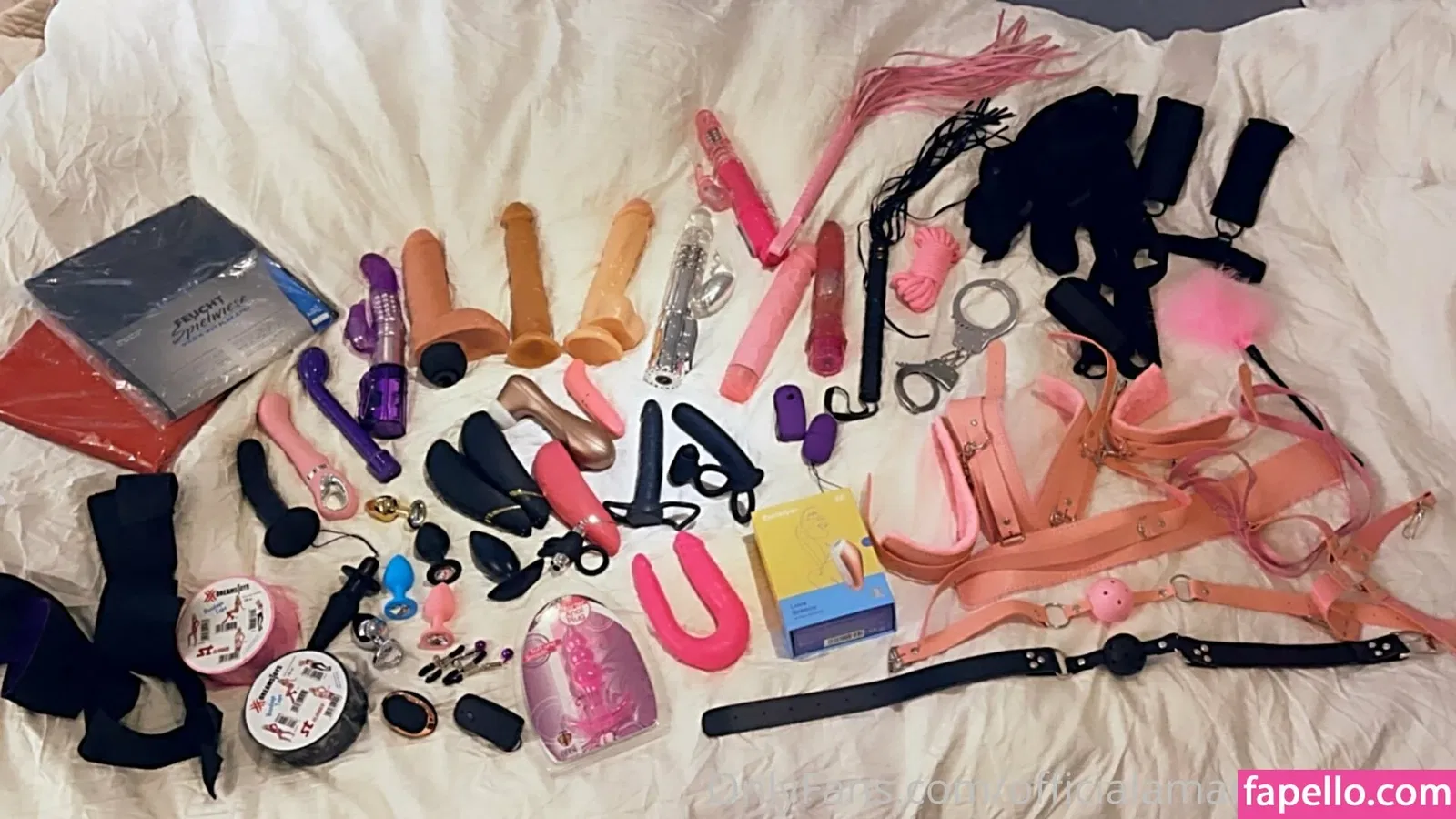 officialamandabreden Onlyfans Photo Gallery 