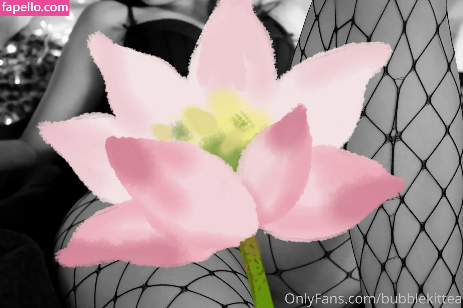 Bubblekittea Onlyfans Photo Gallery 