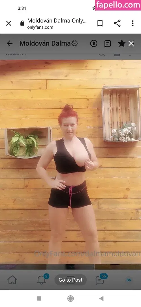 Dalmamoldovan Onlyfans Photo Gallery 