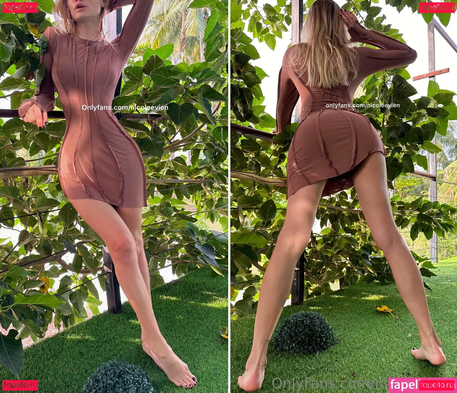 nicoleevien Onlyfans Photo Gallery 