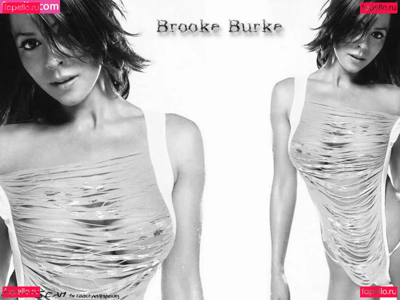 Brooke Burke Onlyfans Photo Gallery 