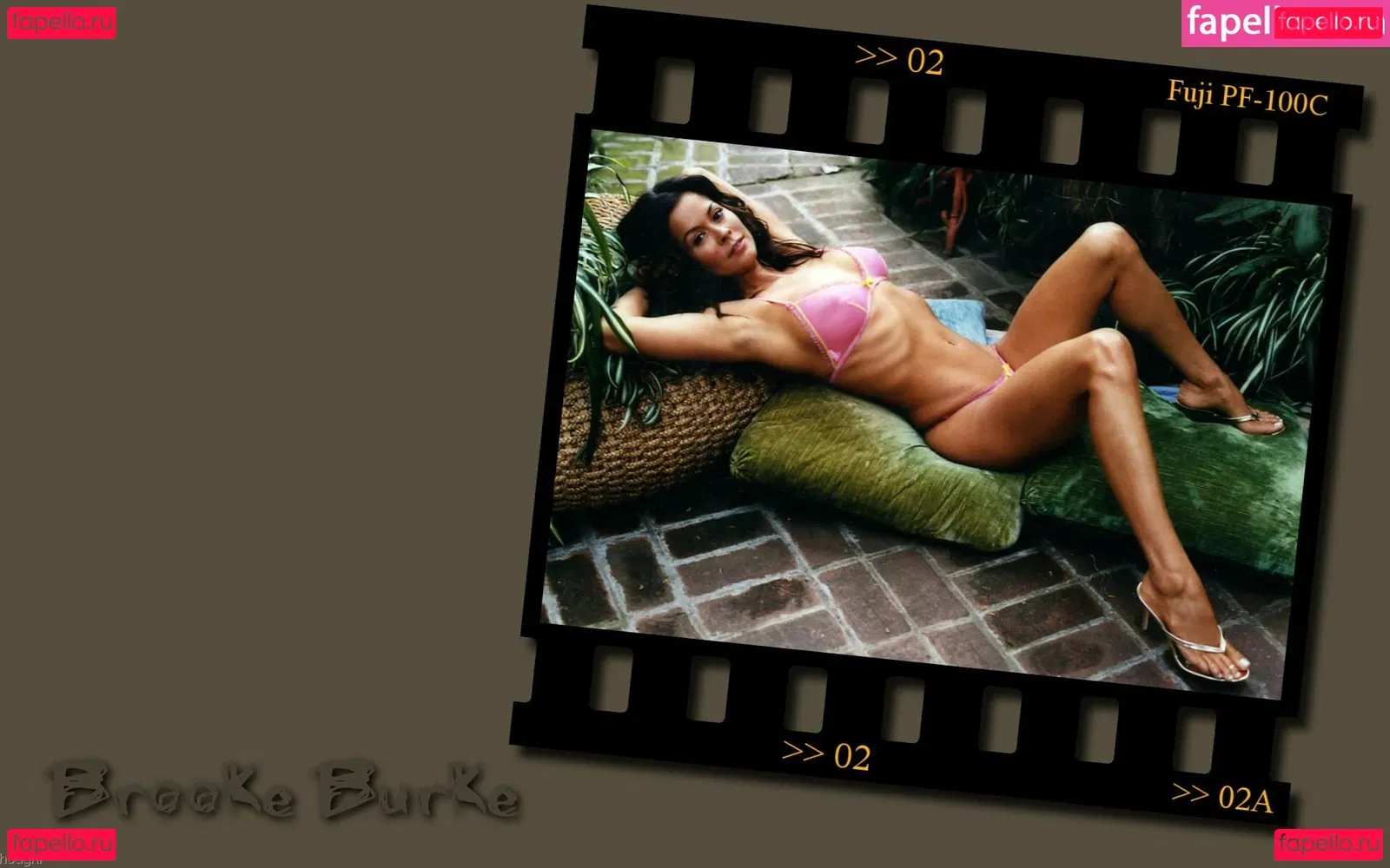 Brooke Burke Onlyfans Photo Gallery 