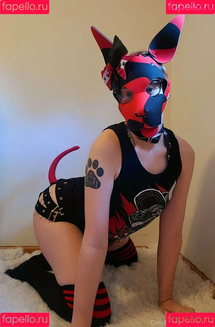 Kodi_pup Onlyfans Photo Gallery 
