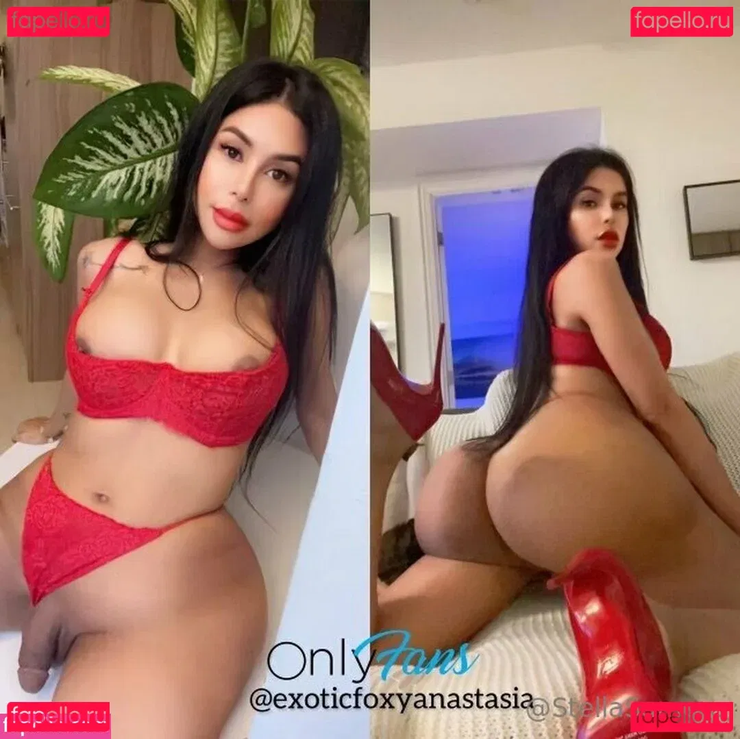 Stellasamore Onlyfans Photo Gallery 