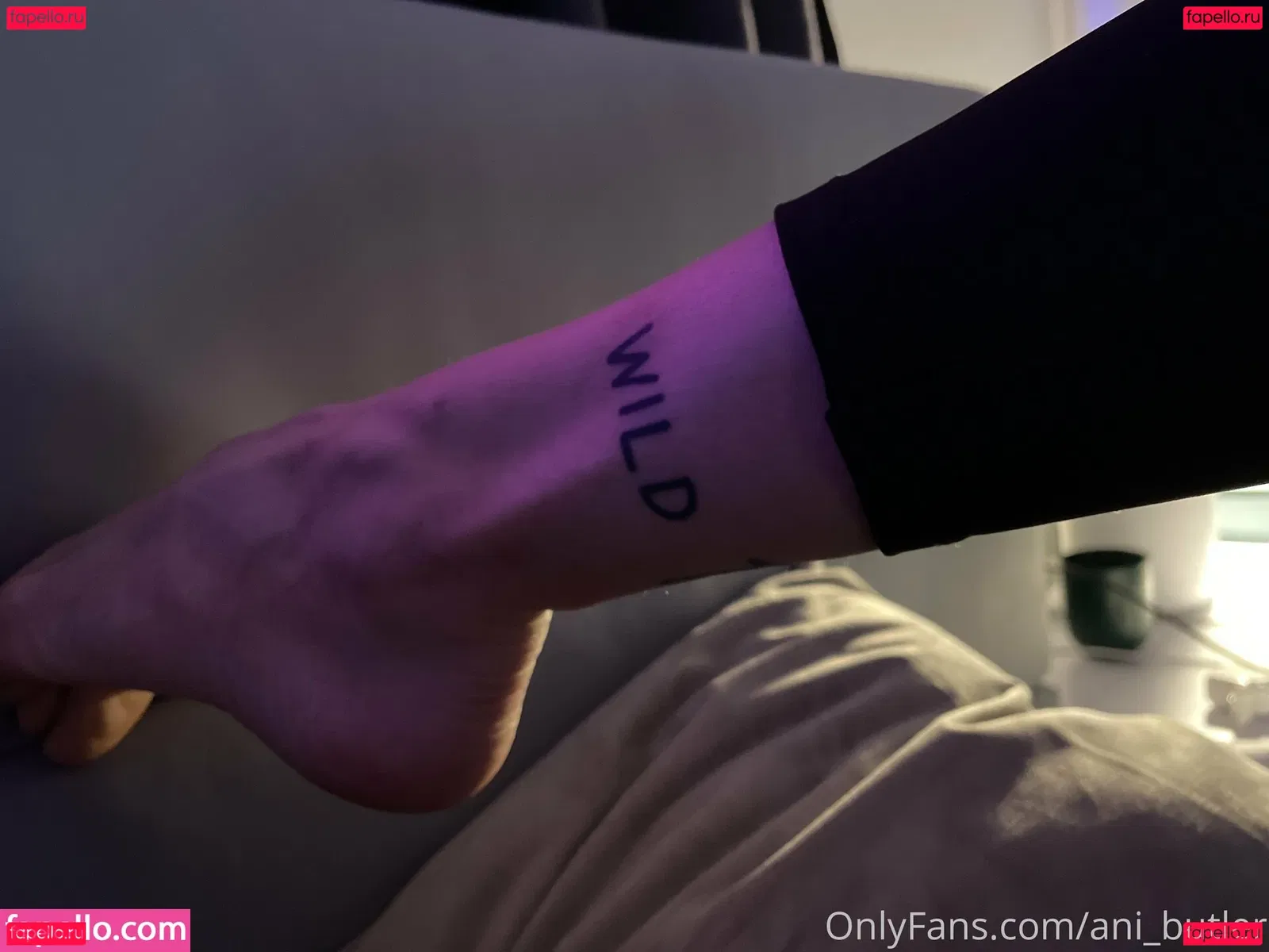 Anibutler Onlyfans Photo Gallery 