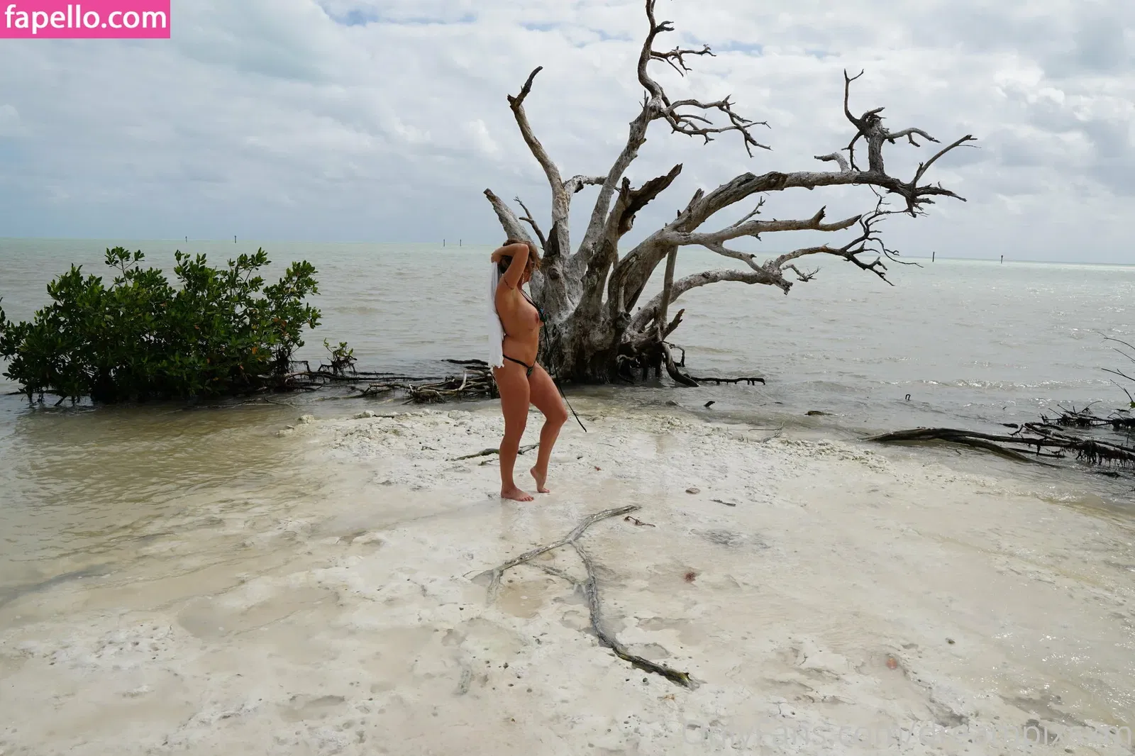 dreampixsxm Onlyfans Photo Gallery 