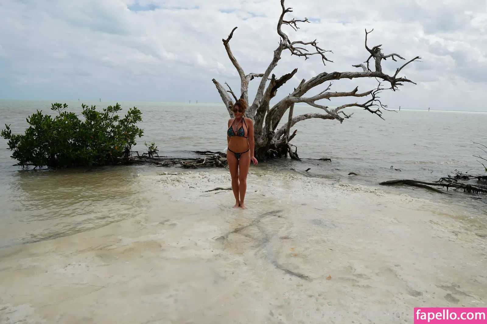 dreampixsxm Onlyfans Photo Gallery 