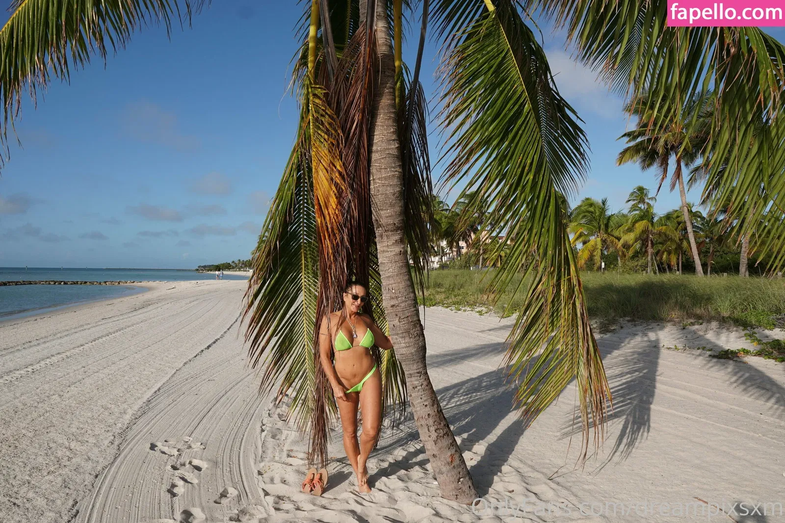 dreampixsxm Onlyfans Photo Gallery 