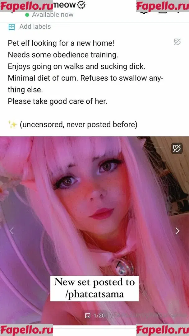 Danni Meow Onlyfans Photo Gallery 