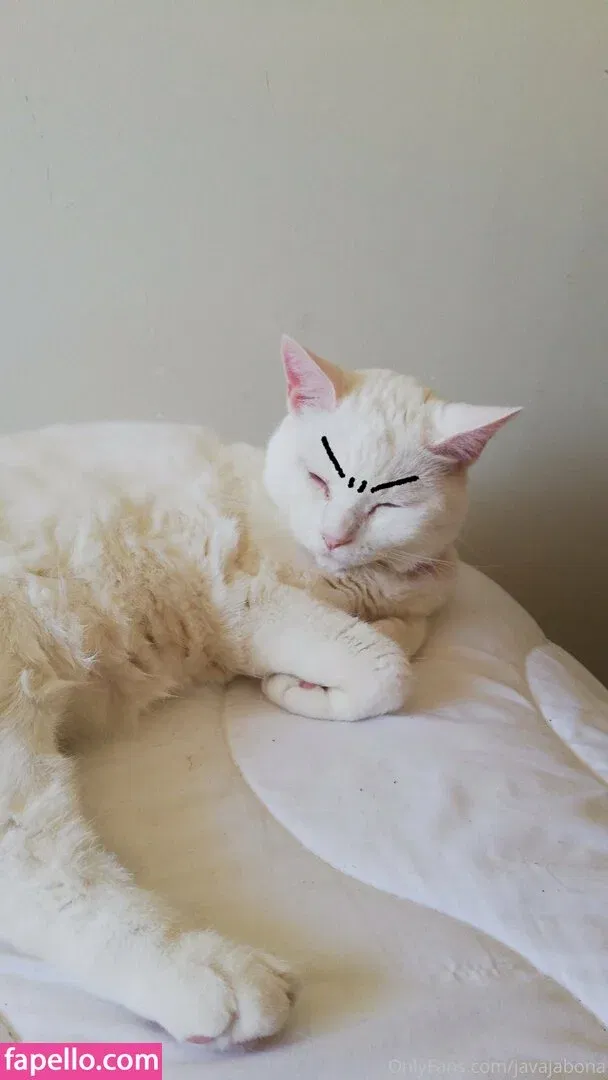 javajabona Onlyfans Photo Gallery 