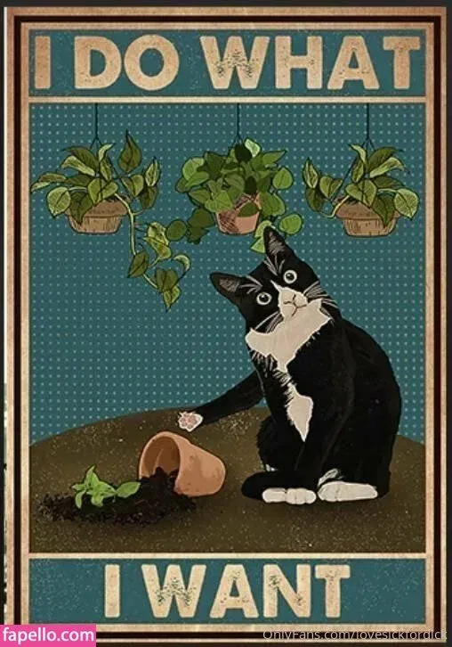 lovesickfordick Onlyfans Photo Gallery 