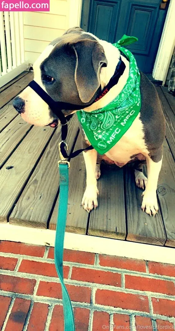 lovesickfordick Onlyfans Photo Gallery 