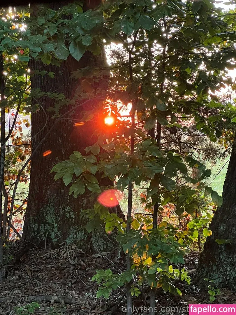 stonedmoon Onlyfans Photo Gallery 