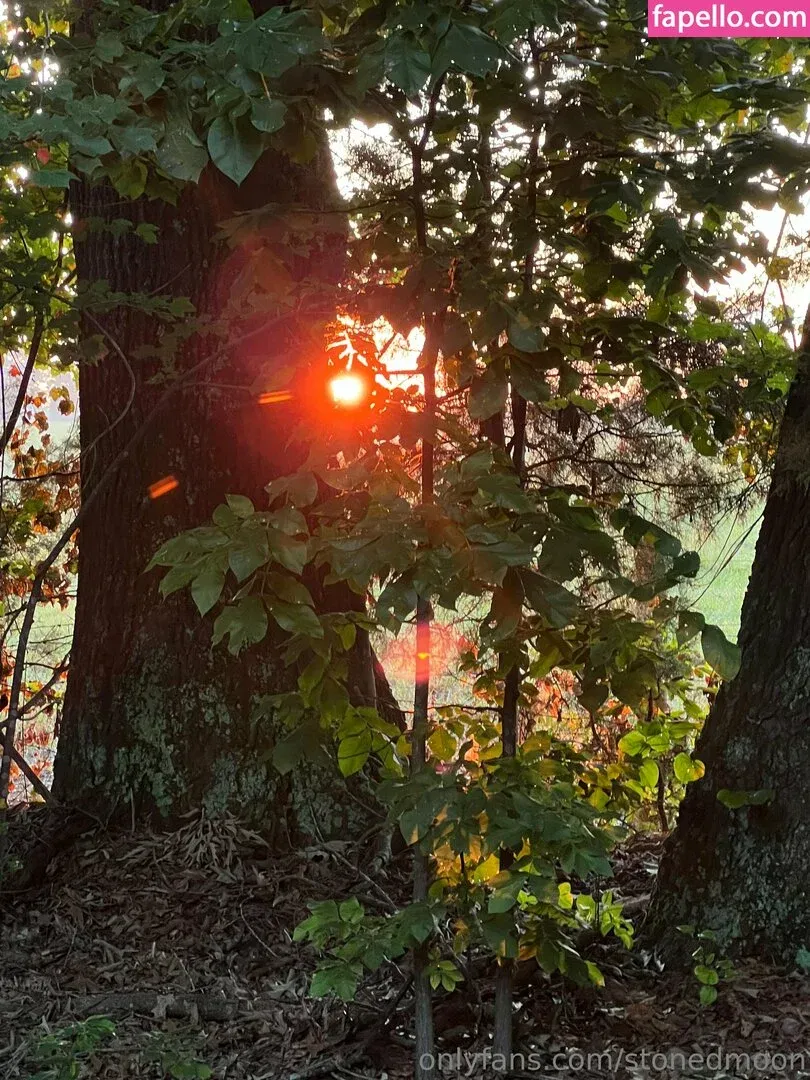 stonedmoon Onlyfans Photo Gallery 