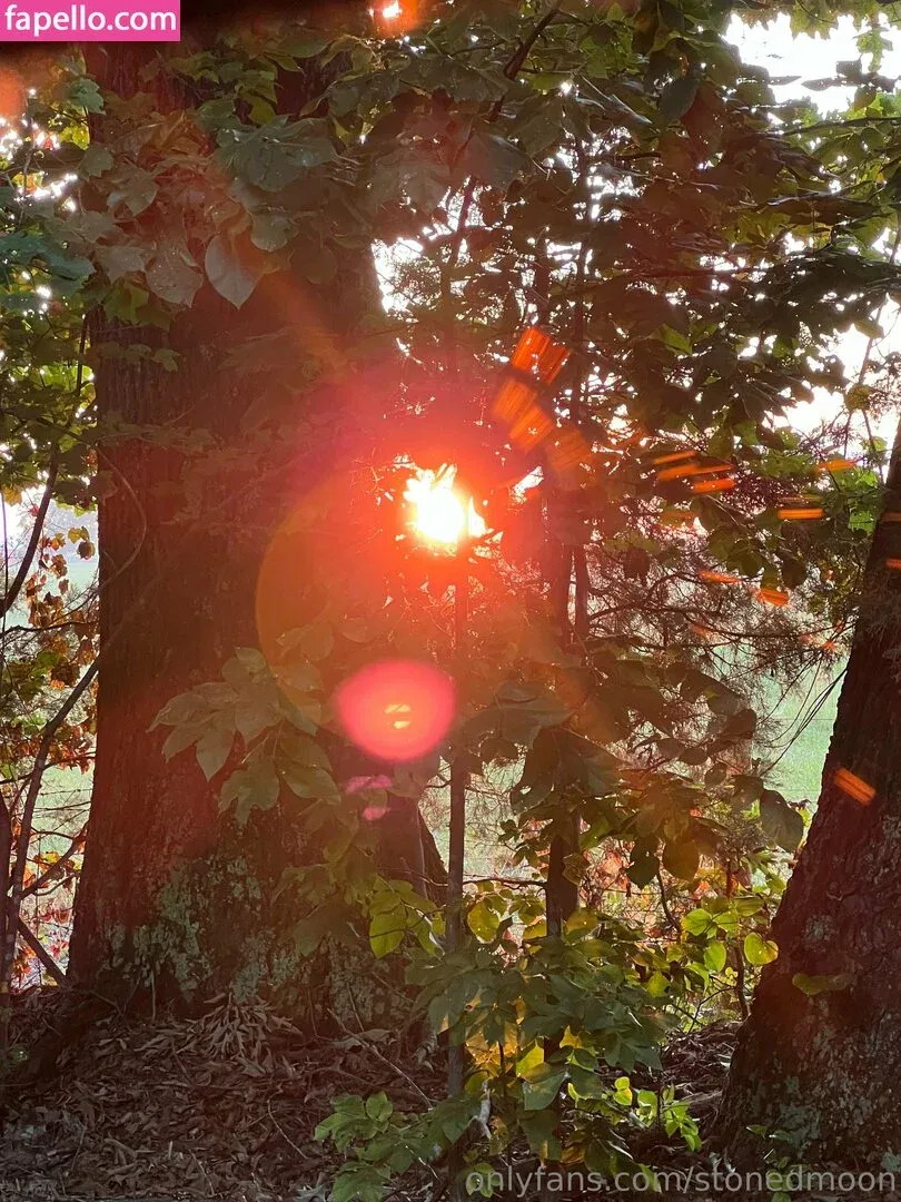 stonedmoon Onlyfans Photo Gallery 