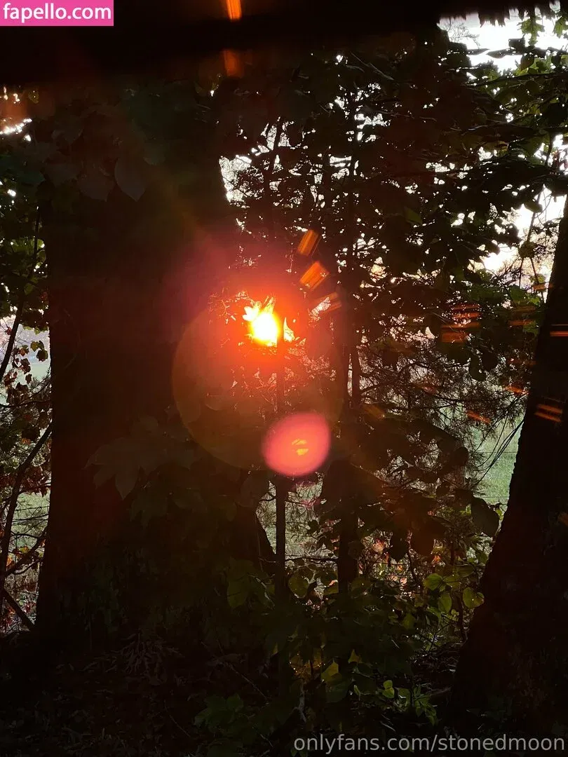 stonedmoon Onlyfans Photo Gallery 