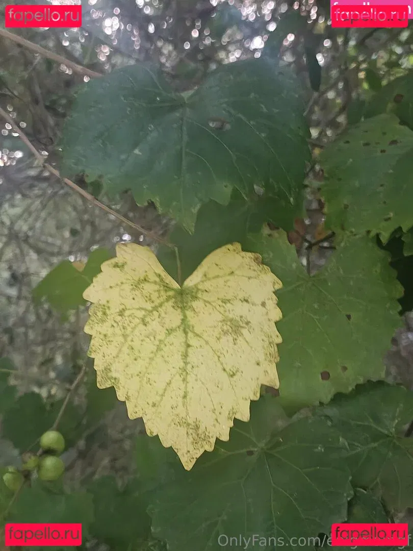 Enigmamgf Onlyfans Photo Gallery 