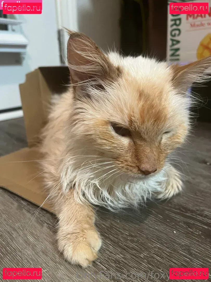 FoxyCosplay Onlyfans Photo Gallery 