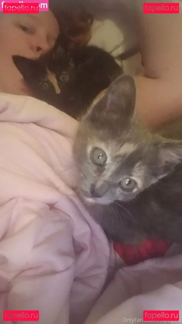 sqregina Onlyfans Photo Gallery 