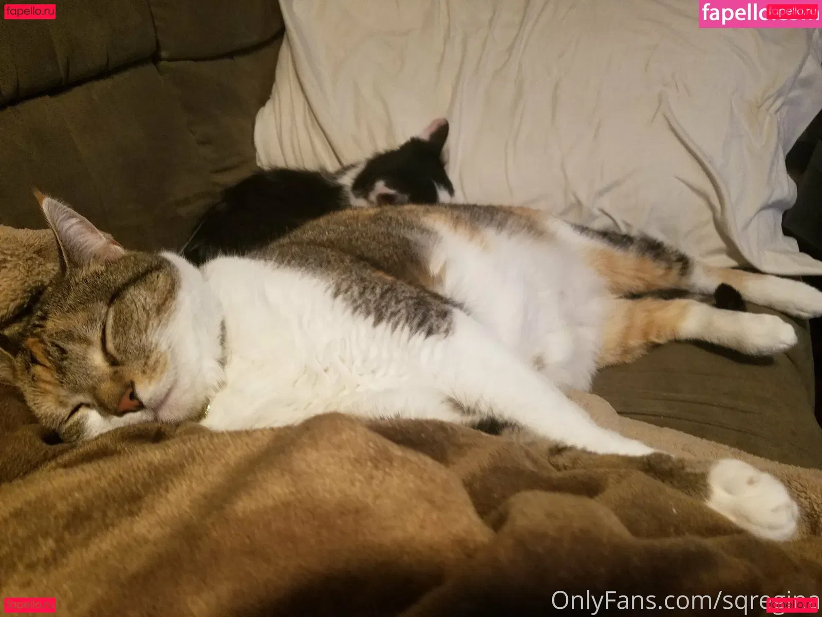 sqregina Onlyfans Photo Gallery 