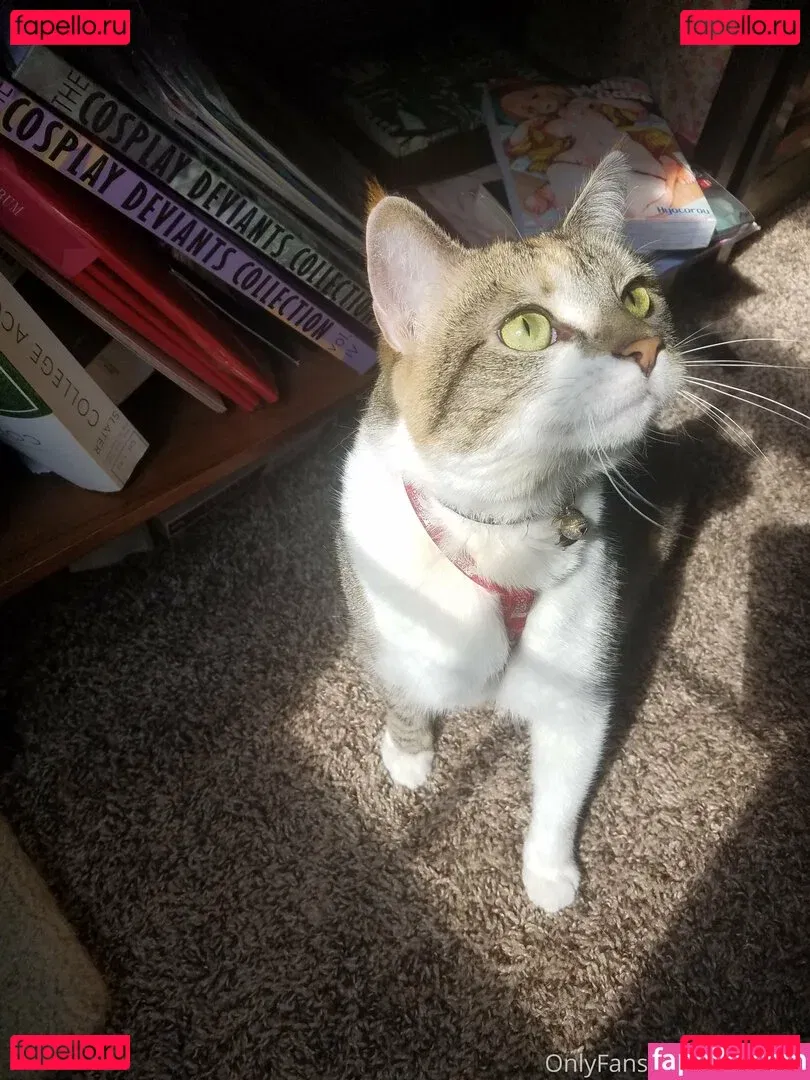 sqregina Onlyfans Photo Gallery 