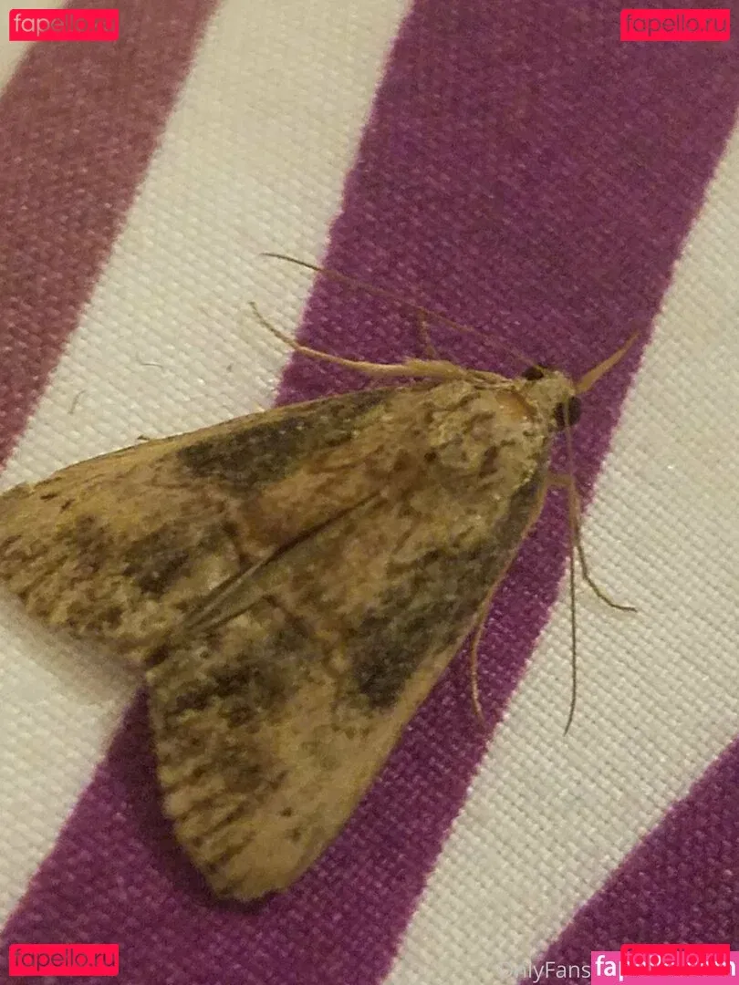 sqregina Onlyfans Photo Gallery 