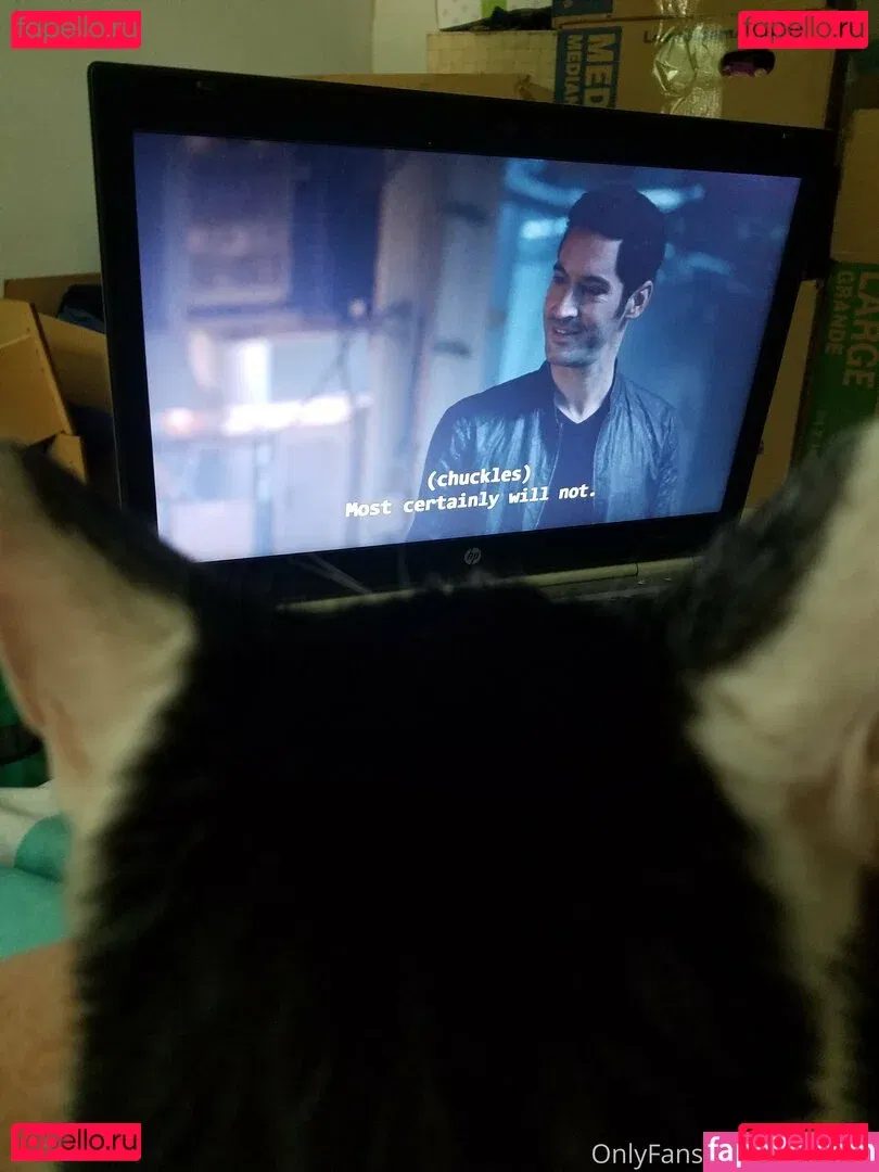 sqregina Onlyfans Photo Gallery 