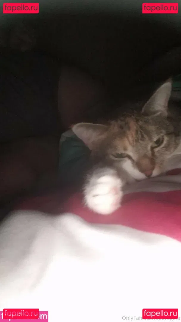 sqregina Onlyfans Photo Gallery 