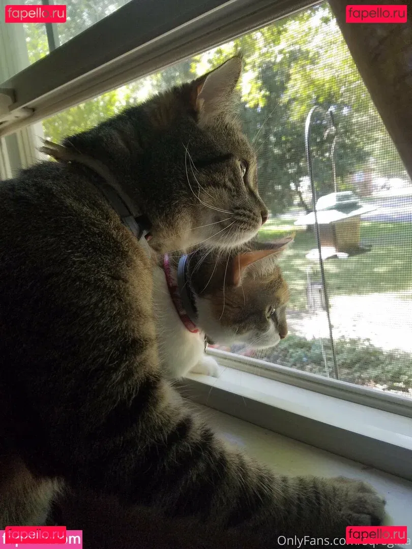 sqregina Onlyfans Photo Gallery 