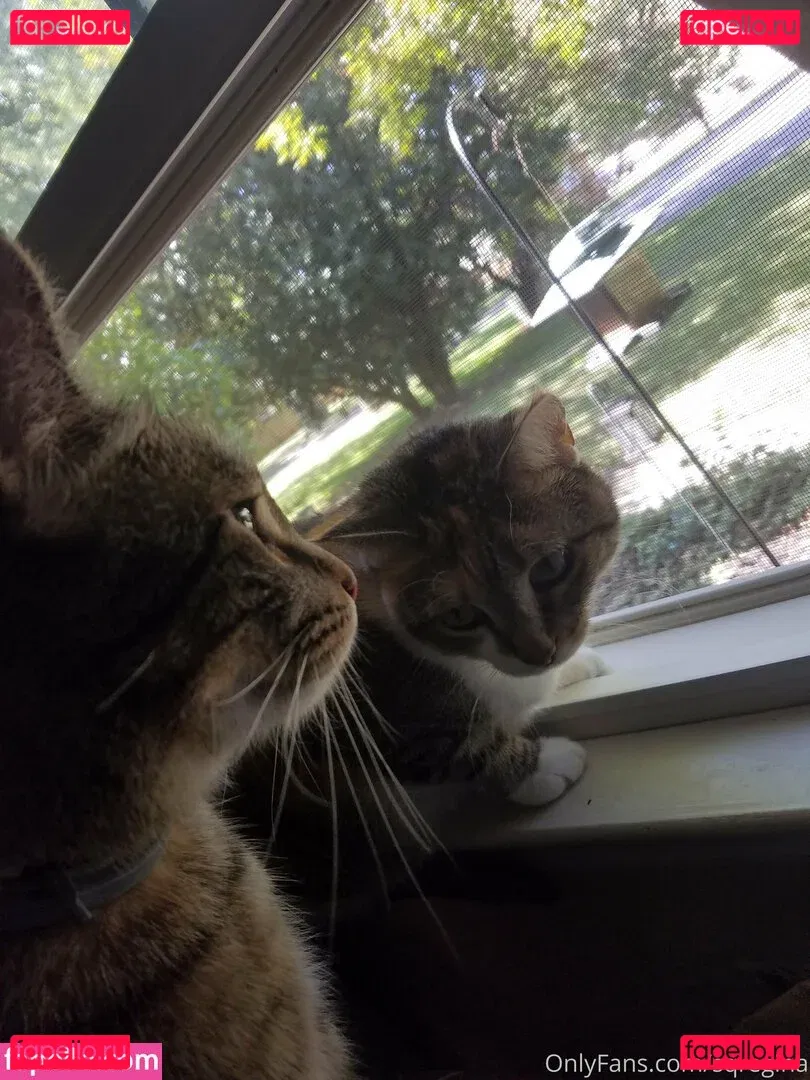 sqregina Onlyfans Photo Gallery 