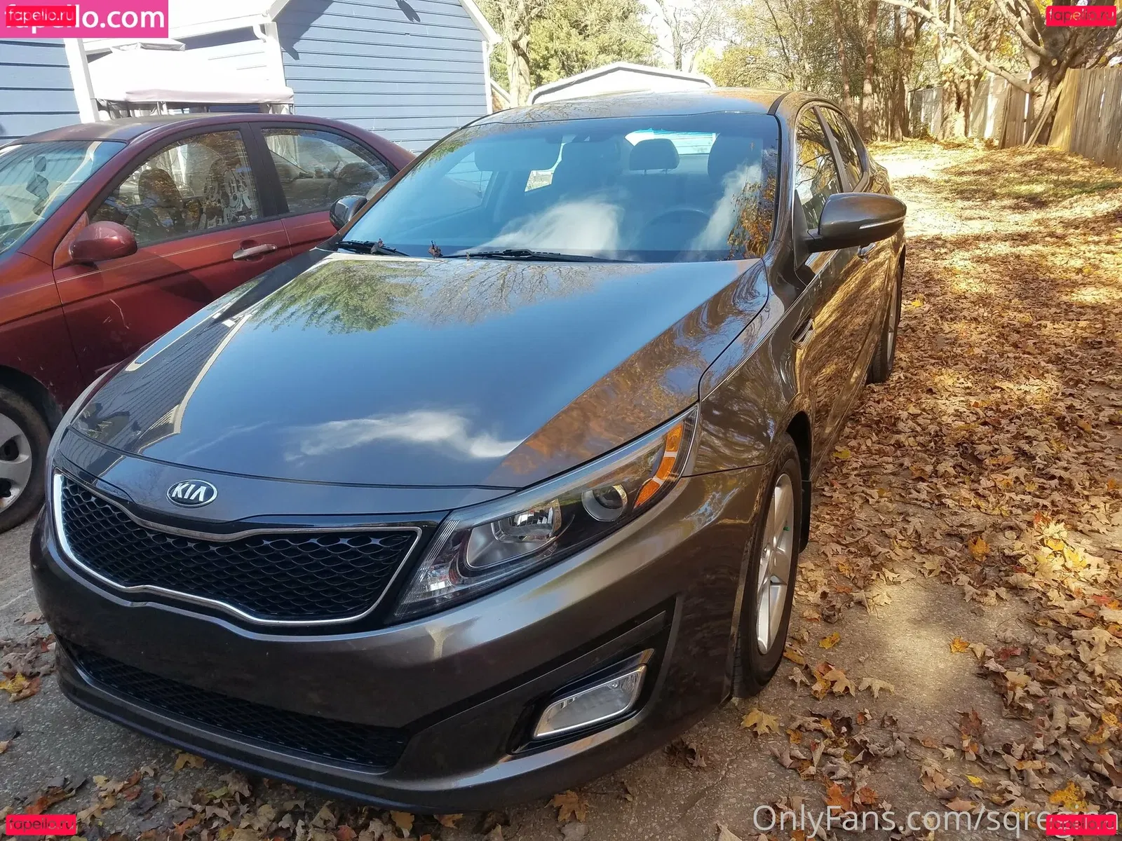 sqregina Onlyfans Photo Gallery 