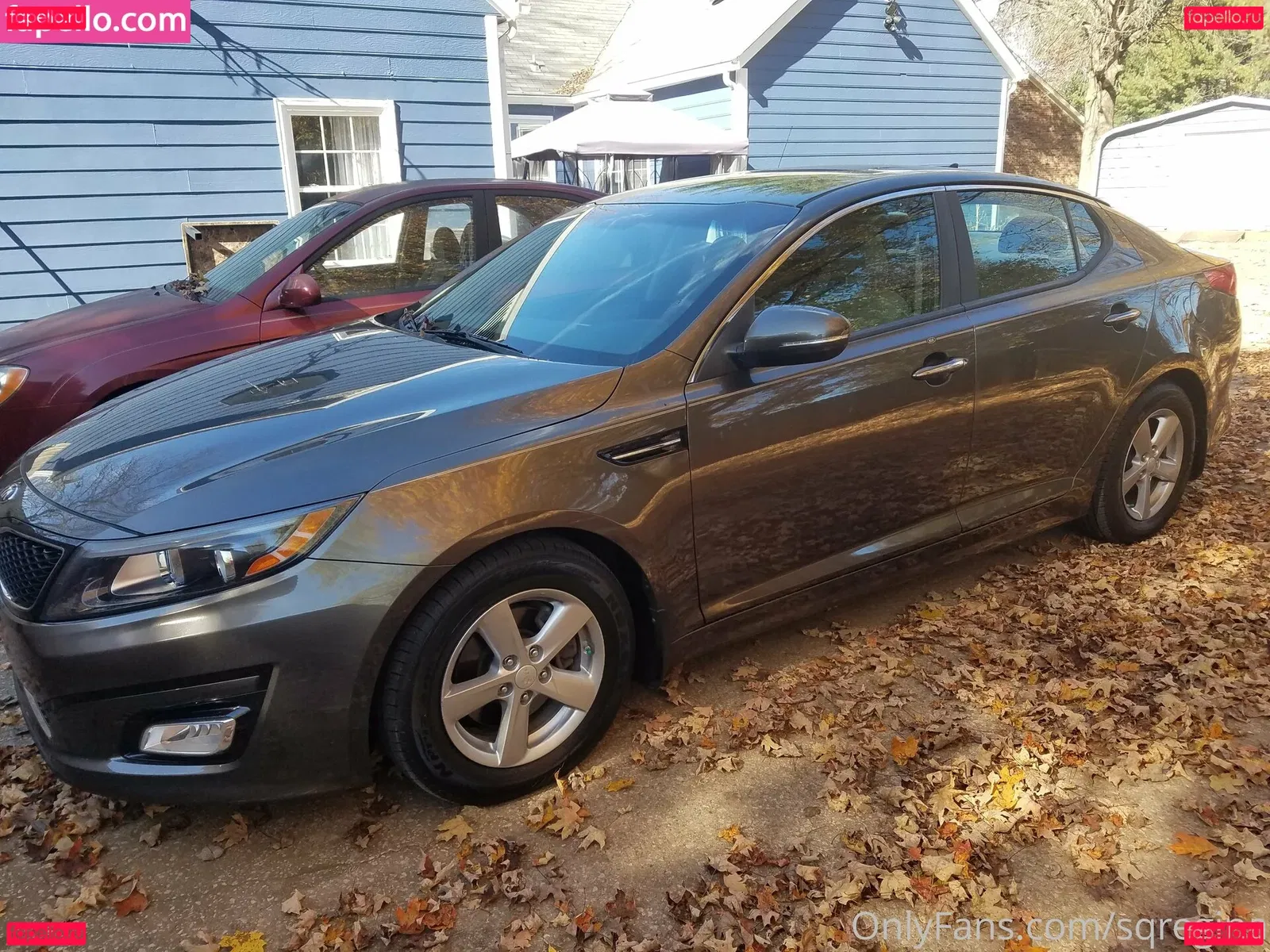 sqregina Onlyfans Photo Gallery 