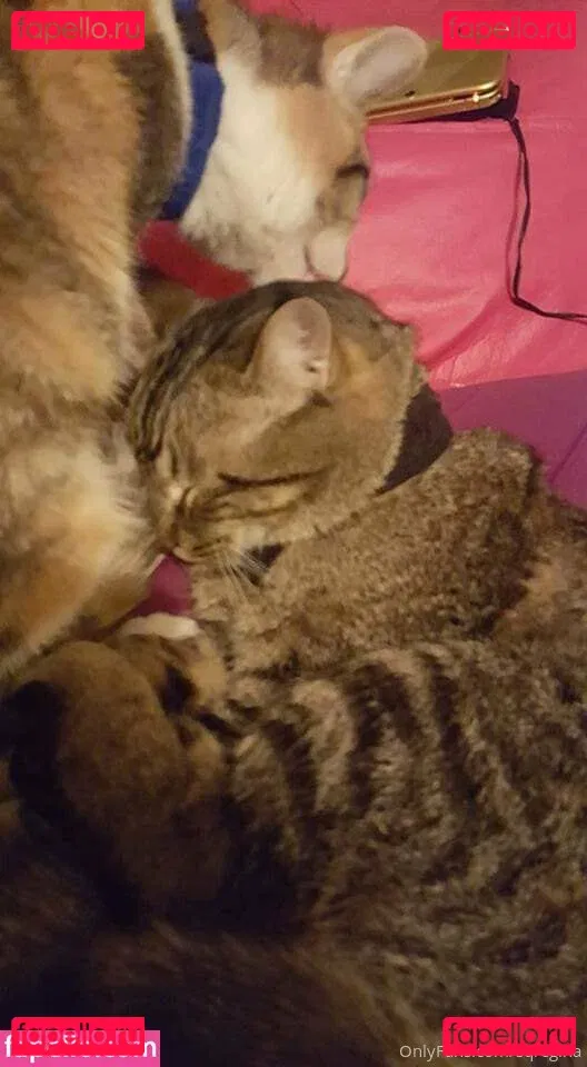 sqregina Onlyfans Photo Gallery 