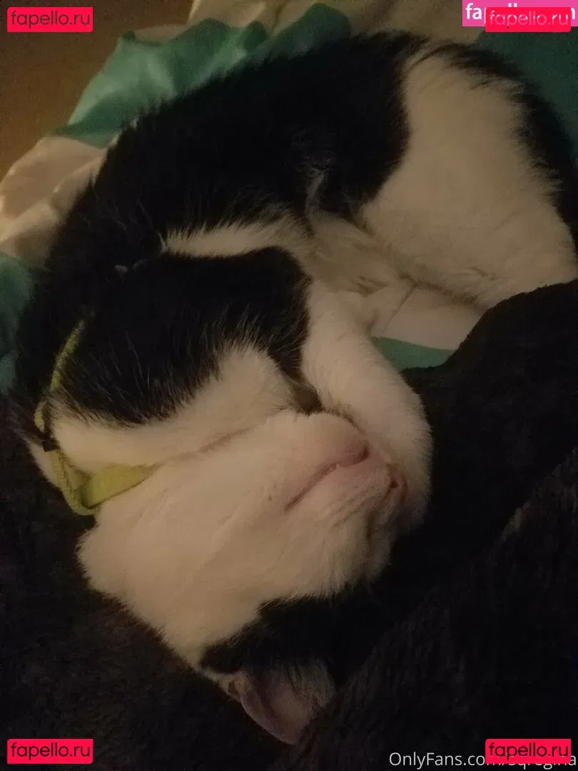 sqregina Onlyfans Photo Gallery 