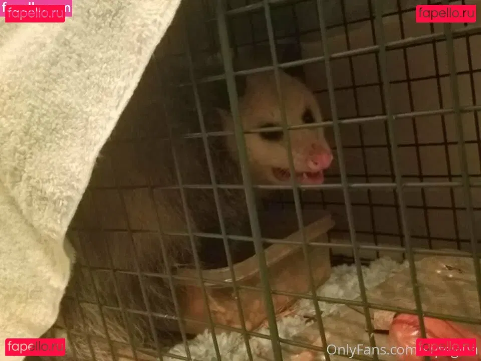 sqregina Onlyfans Photo Gallery 