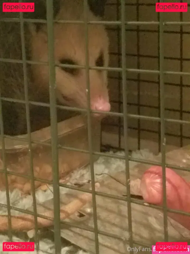 sqregina Onlyfans Photo Gallery 