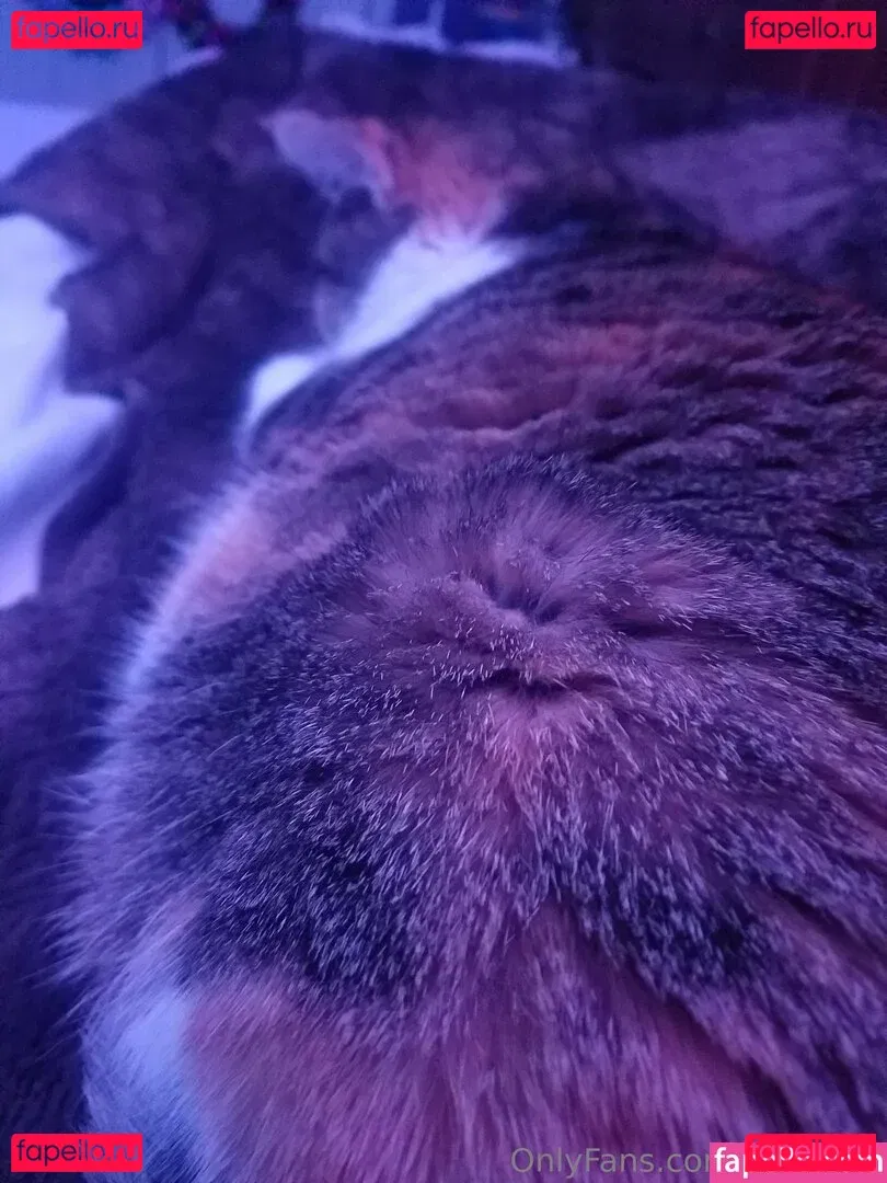 sqregina Onlyfans Photo Gallery 