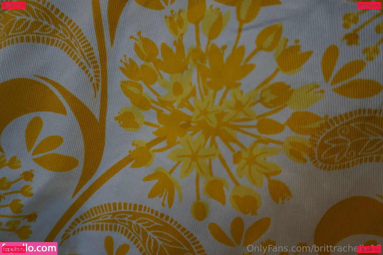 brittrachelle18 Onlyfans Photo Gallery 