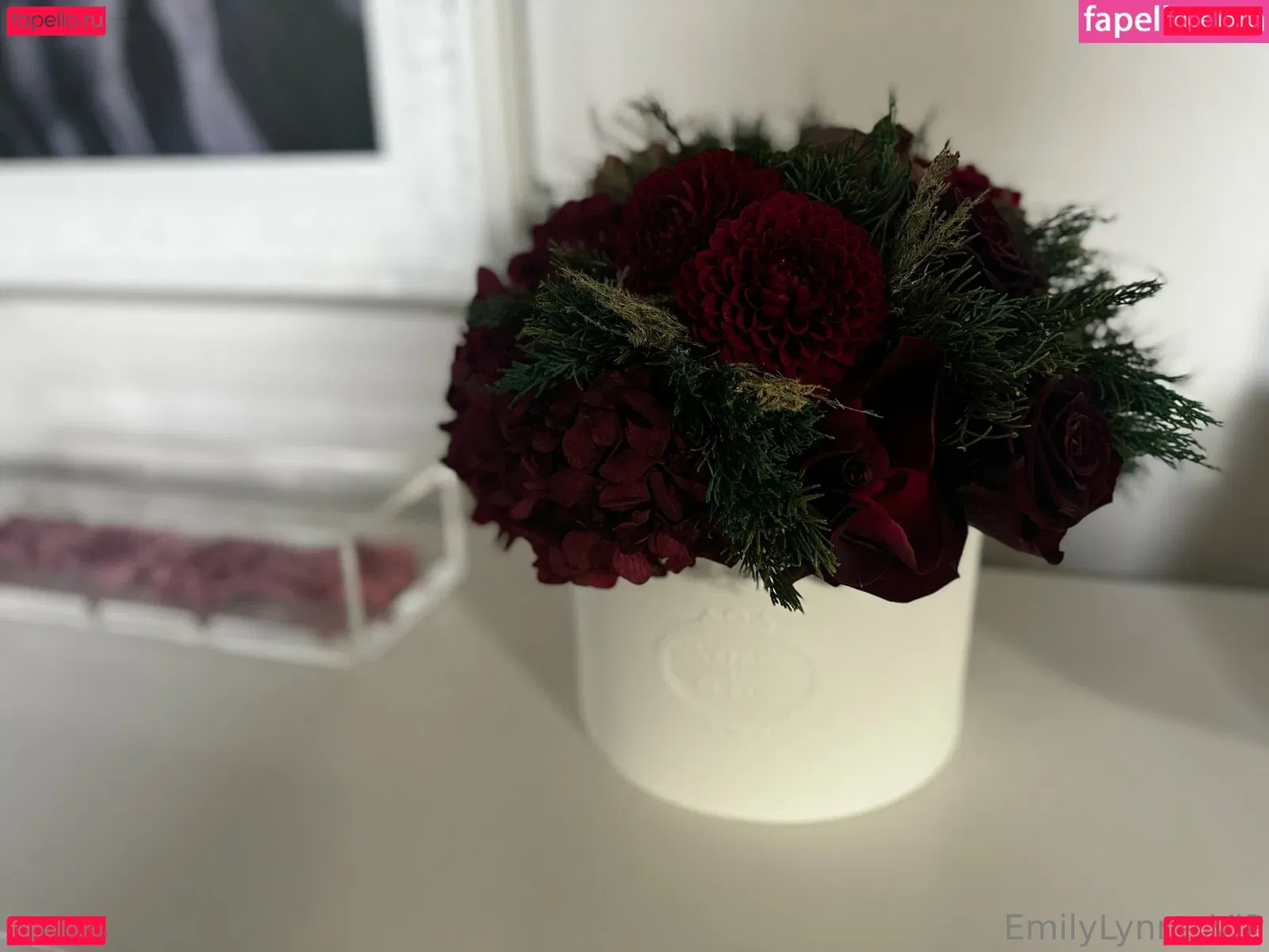 Theemilylynne Onlyfans Photo Gallery 