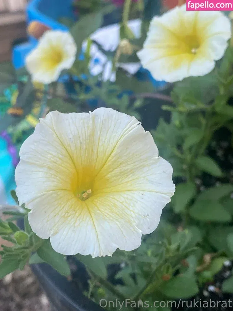 rukiabrat Onlyfans Photo Gallery 