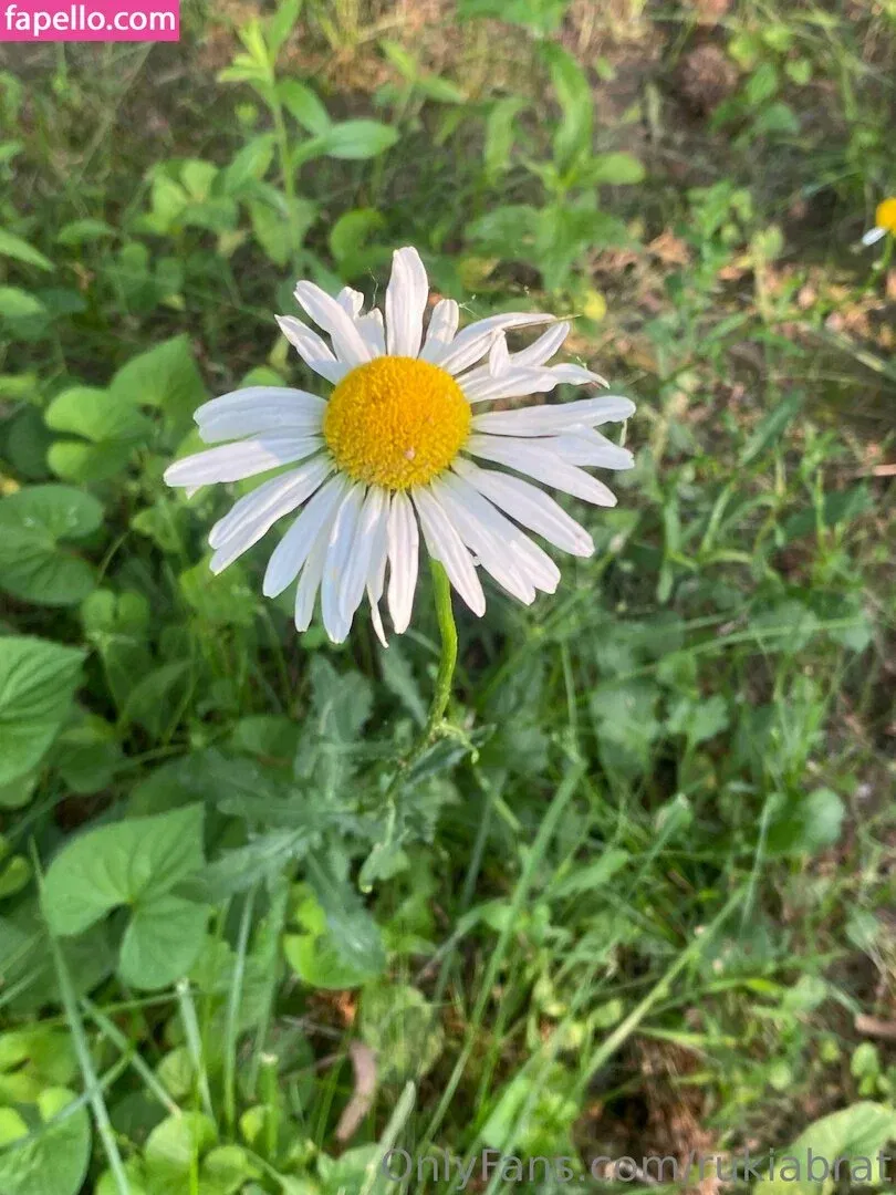 rukiabrat Onlyfans Photo Gallery 