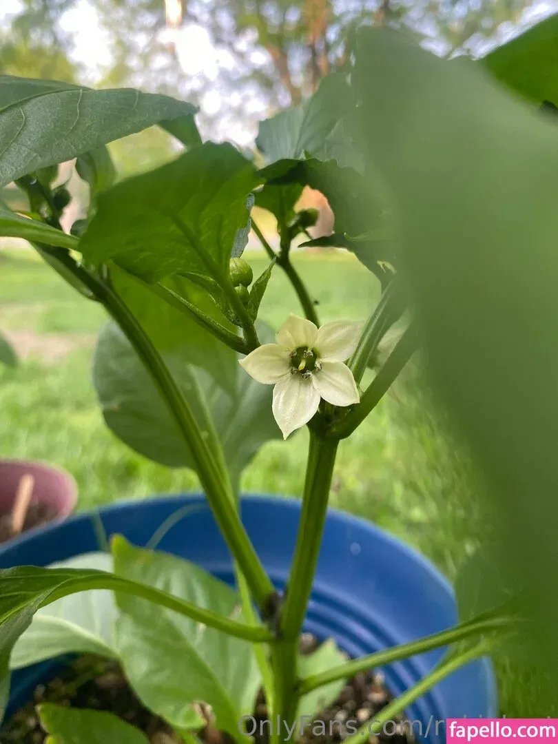 rukiabrat Onlyfans Photo Gallery 